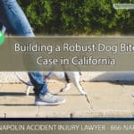 Building a Robust Dog Bite Case in Ontario, California