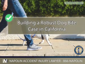 Building a Robust Dog Bite Case in Ontario, California