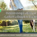 Determining Liability in Ontario, California Dog Bite Claims