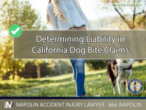 Determining Liability in Ontario, California Dog Bite Claims