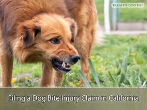 Filing a Dog Bite Injury Claim in California