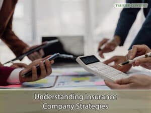 Understanding Insurance Company Strategies