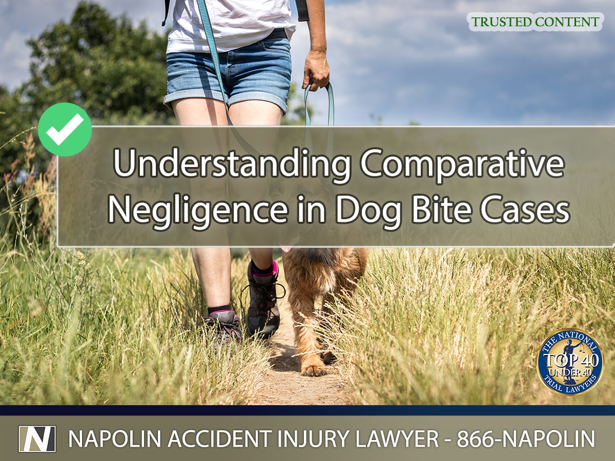 Understanding Comparative Negligence in California Dog Bite Cases