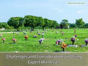 Challenges and Considerations in Using Expert Witnesses